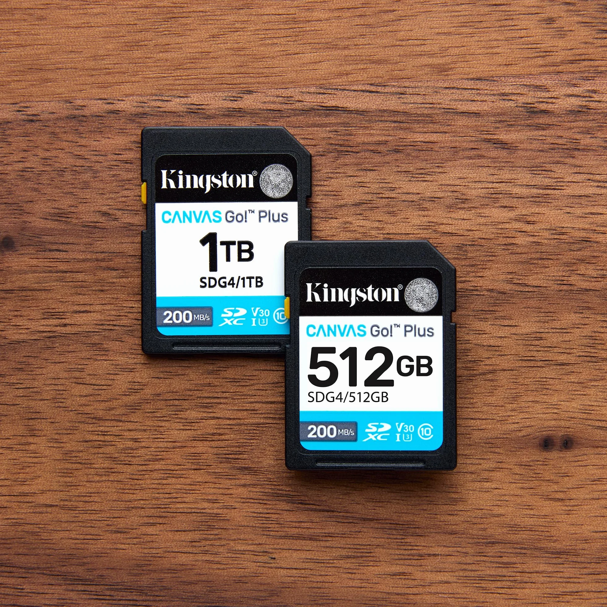 Kingston Canvas Go Plus SDXC karta pamięci Gen4 200 MB/s C10 UHS-I U3 V30 256 GB-SDG4/256 GB