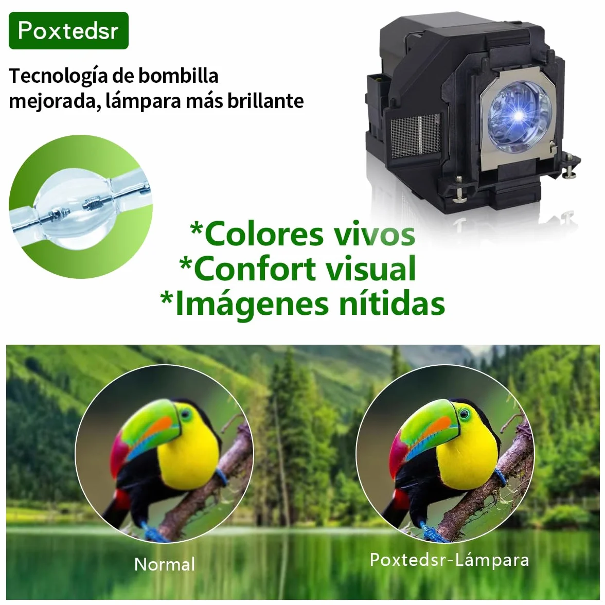 EL PLP97 Wymienna lampa projektora kompatybilna z EPSON EH-TW740 EH-TW750 EB-W49 EB-W06 EB-W51 EB-X49 EB-FH06 EB-FH52 EB-E01 EB-U50 EH-TW5700 EH-TW5700 EH-TW5700 EH-TW5700 EH-TW5700 EH-TW5700 6150
