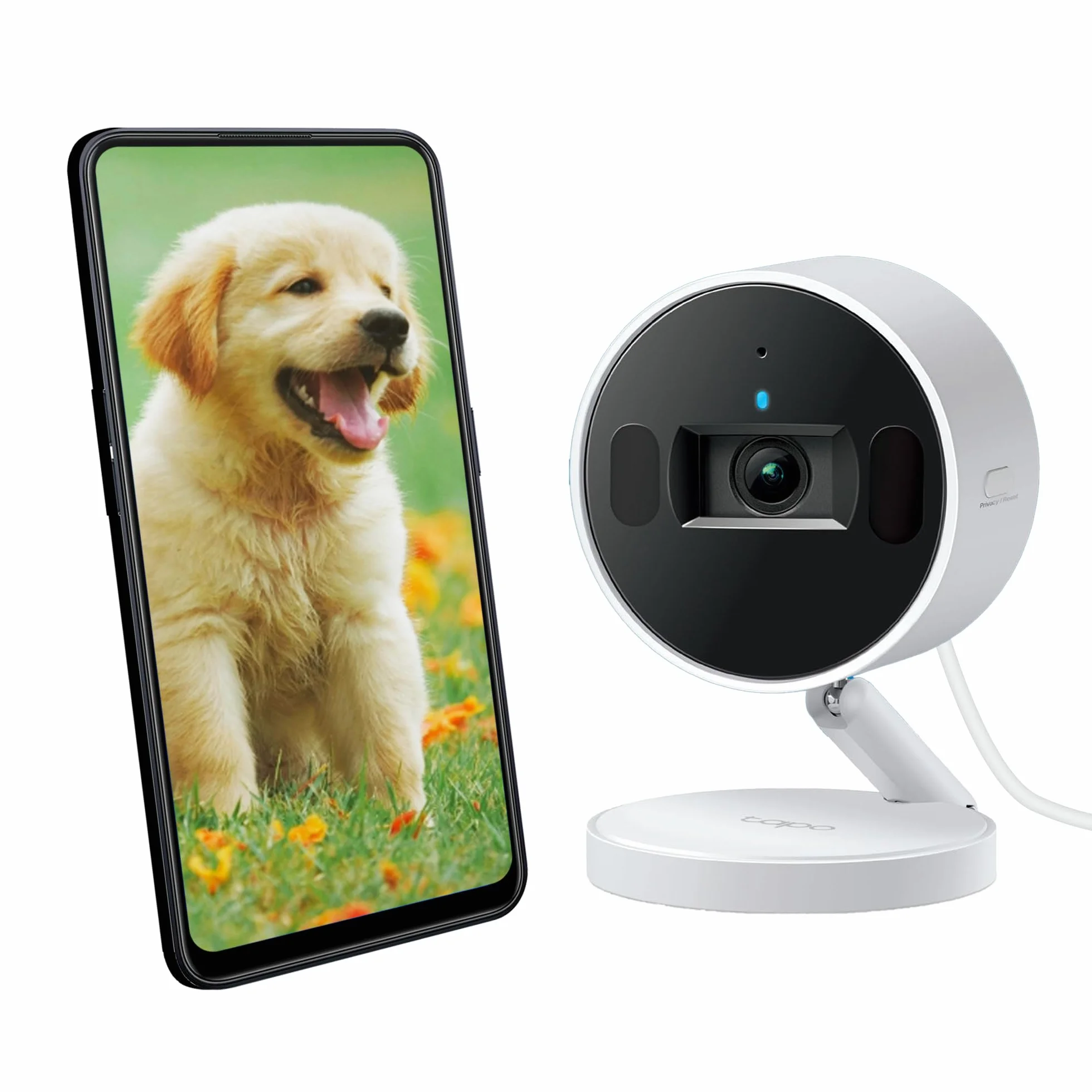 TP-Link Tapo C125 | Kamera Wi-Fi do monitoringu domowego 2K QHD | Wykrywanie ludzi, dźwięku i zwierząt | Tryb prywatności | Dwukierunkowe audio | Kompatybilna z Alexa i Google Home