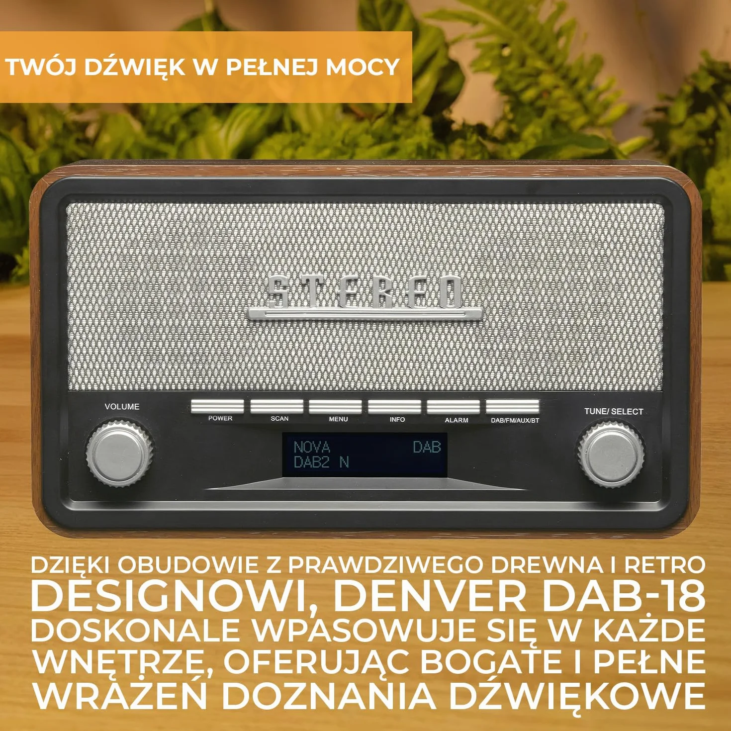 Denver DAB-18 Radio 230 V Brązowy