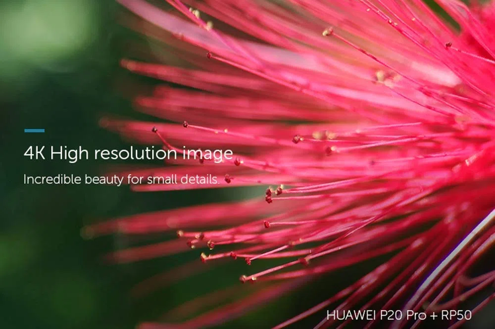 APEXEL Lente Macro HD de 100mm com Clip para Câmara de Telemóvel, compatível com iPhone X/8/8 Plus/7 Plus, Samsung Galaxy S10/S10 Plus, Huawei e a maioria dos smartphones