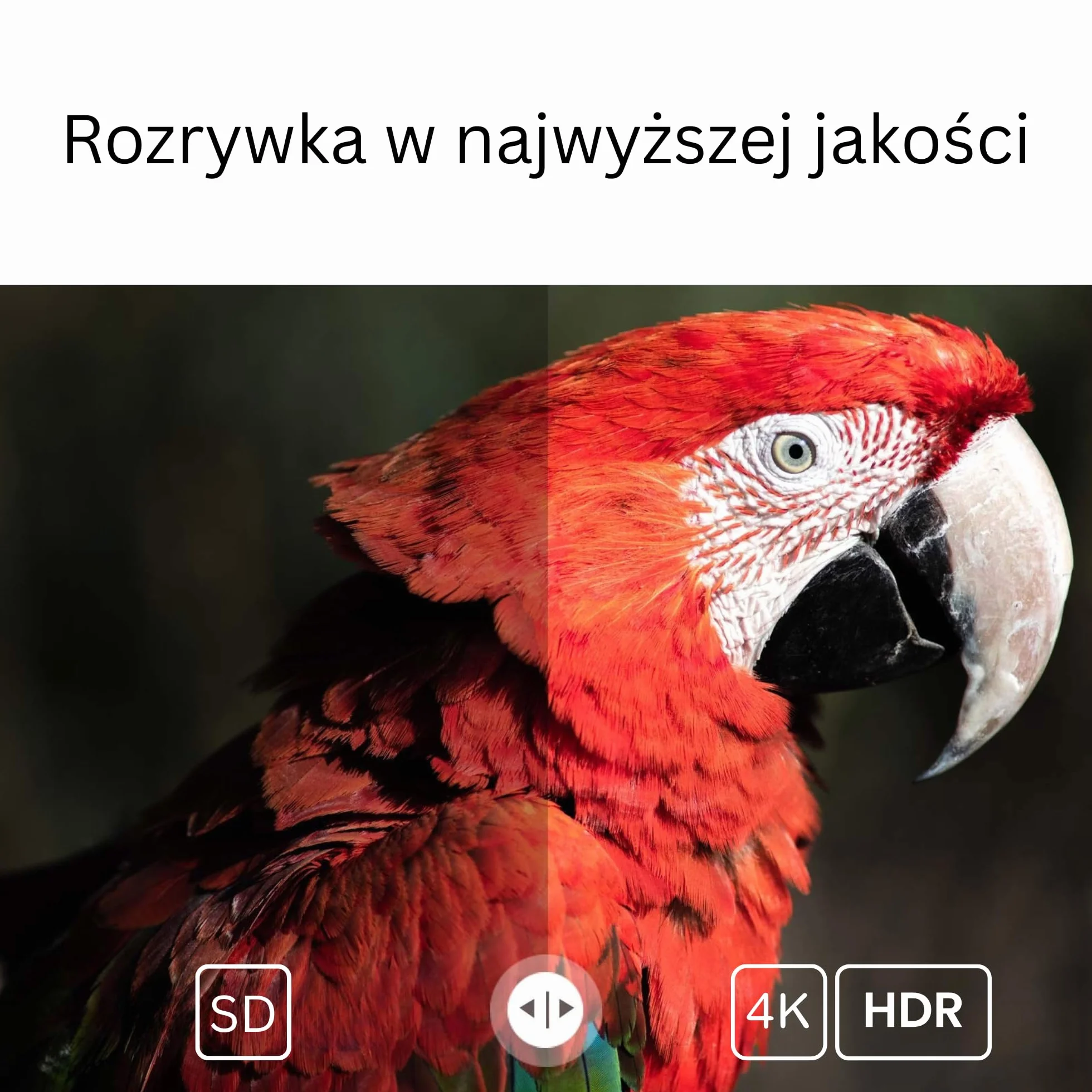 Przystawka Smart TV Stick 4K HDR | Android TV 14 | Odtwarzacz z Asystentem Google | Chromecast | Obsługuje Netflix, YouTube, Disney+, Prime Video