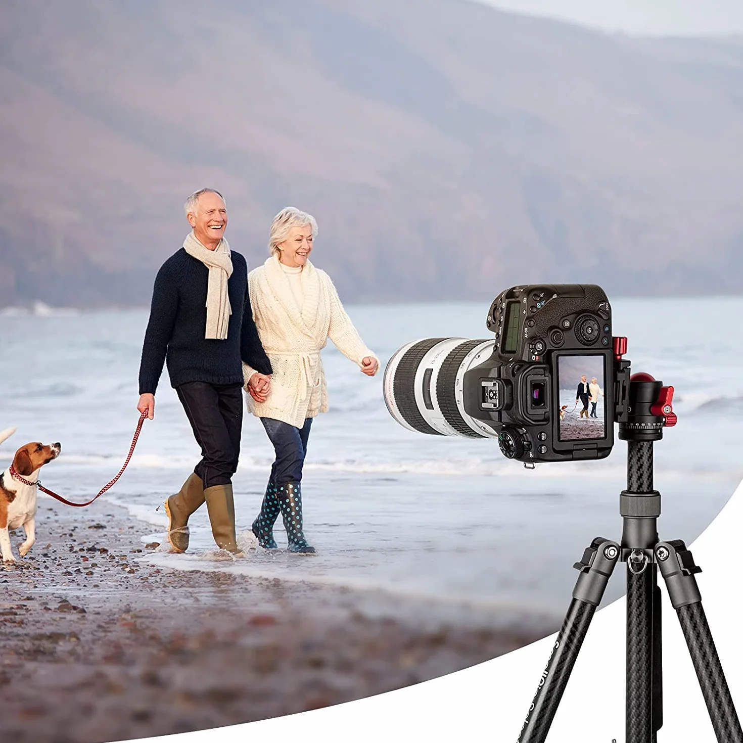 SMALLRIG Głowica kulowa 360° z mocowaniem śrubowym 1/4 cala, aluminiowa mini głowica statywu, udźwig 8 kg, do Canon/do Sony/do Nikon/do Panasonic/DSLR//smartfonów - 3034