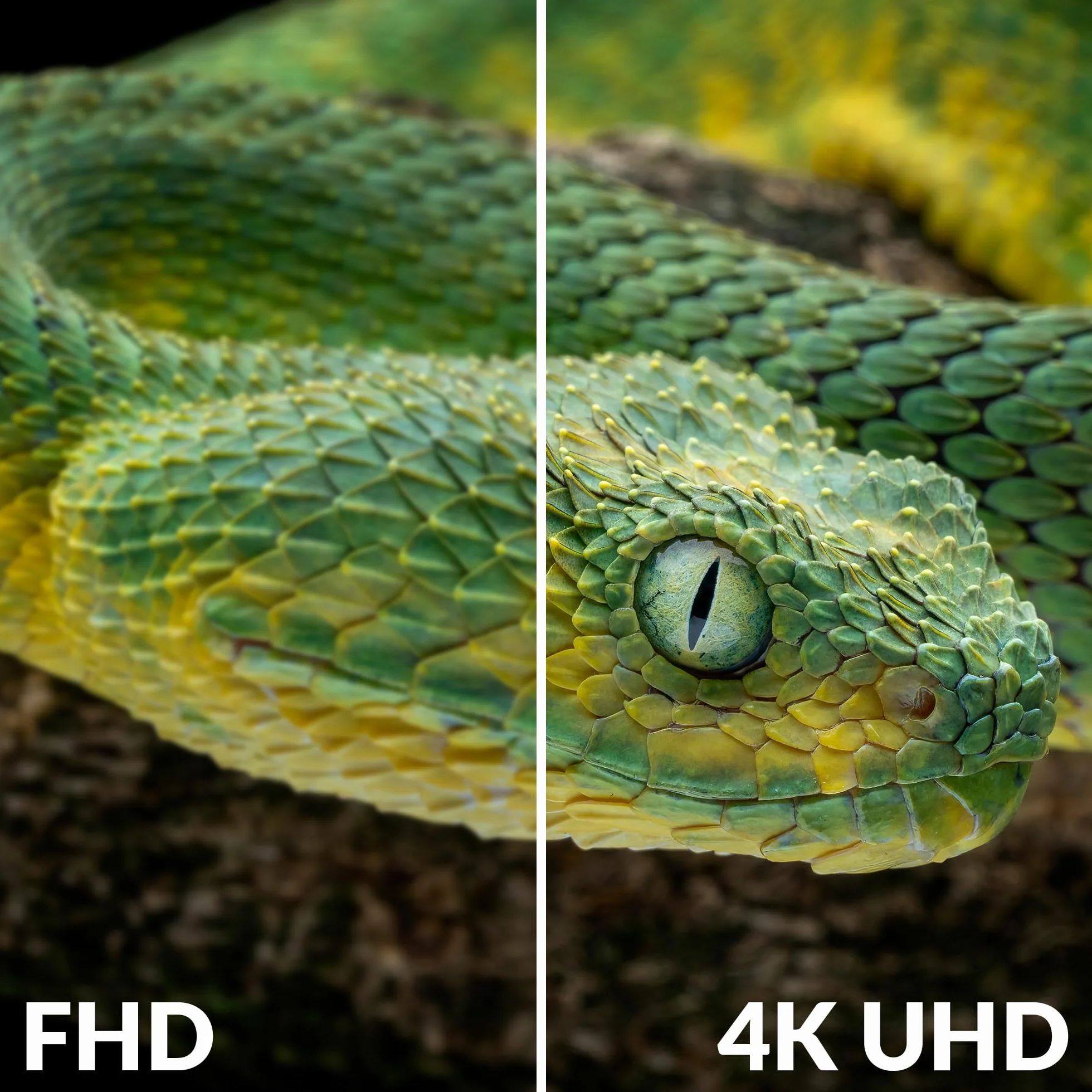 STRONG Dekoder TNT UHD 4K|DVB-T2|Kompatybilny z HEVC265|Odbiornik/Tuner TV Rejestrator USB|DOLBY Digital Plus|HDMI|SCART