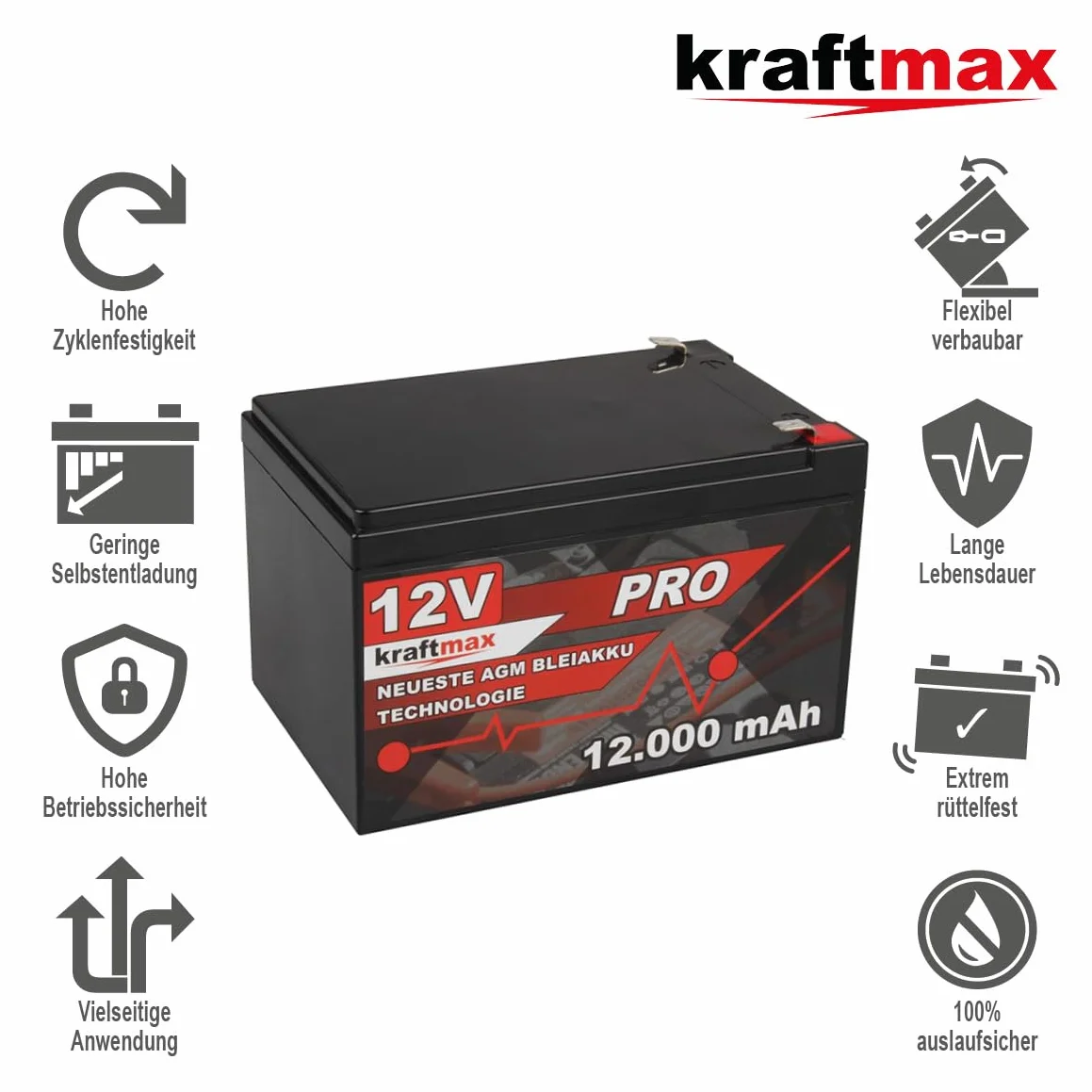 Kraftmax Industrial Pro akumulator ołowiowy 12 V 12 Ah AGM